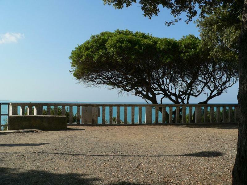 Ghianda Marina Vista Mare Stupenda E 100 Mt Dalla Spiaggia, Accanto Pineta Villa Castiglioncello Eksteriør billede