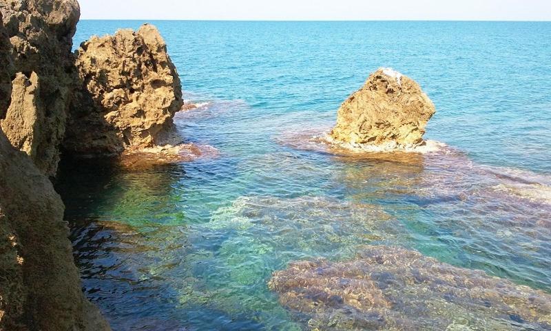 Ghianda Marina Vista Mare Stupenda E 100 Mt Dalla Spiaggia, Accanto Pineta Villa Castiglioncello Eksteriør billede
